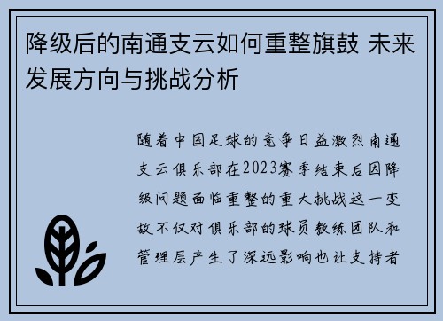 降级后的南通支云如何重整旗鼓 未来发展方向与挑战分析